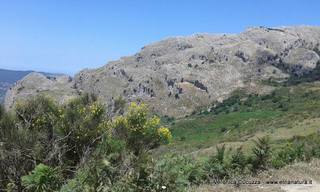 cche del Crasto-04-07-2016 19-25-01
